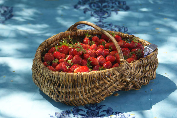 fraises