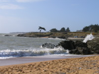 C&ocirc;te de Jade - Pays de Retz
