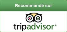 trip advisor