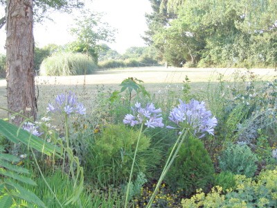 chambres hotes au jardin